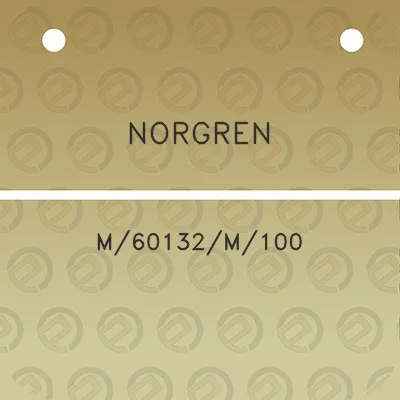 norgren-m60132m100