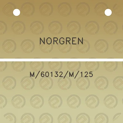 norgren-m60132m125