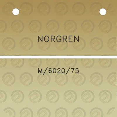 norgren-m602075