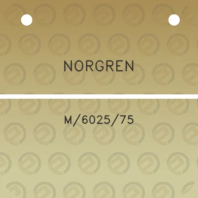 norgren-m602575