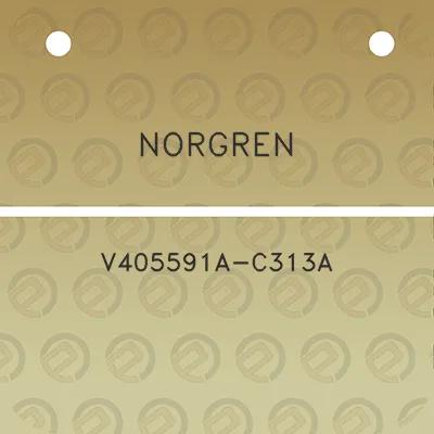 norgren-v405591a-c313a