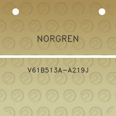 norgren-v61b513a-a219j