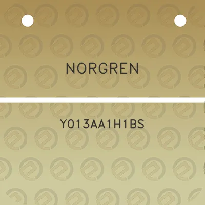 norgren-y013aa1h1bs