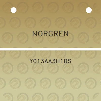 norgren-y013aa3h1bs