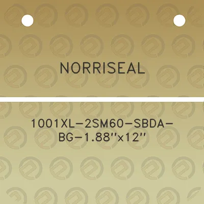 norriseal-1001xl-2sm60-sbda-bg-188x12