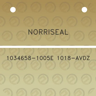 norriseal-1034658-1005e-1018-avdz