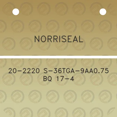 norriseal-20-2220-s-36tga-9aa075-bq-17-4