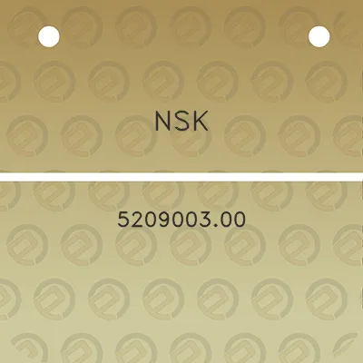 nsk-520900300