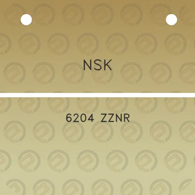 nsk-6204-zznr