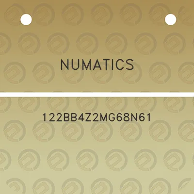 numatics-122bb4z2mg68n61