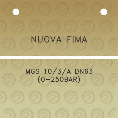 nuova-fima-mgs-103a-dn63-0-250bar