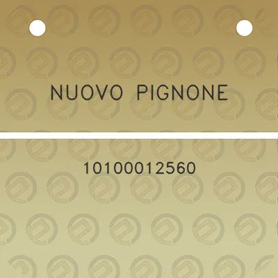 nuovo-pignone-10100012560