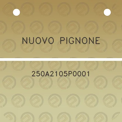 nuovo-pignone-250a2105p0001