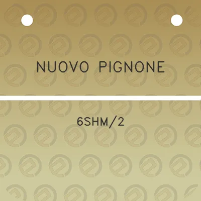 nuovo-pignone-6shm2