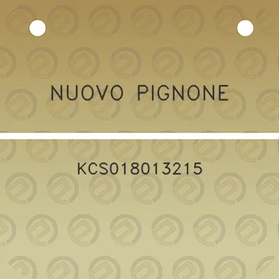 nuovo-pignone-kcs018013215