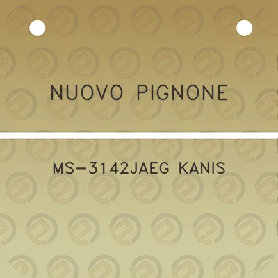 nuovo-pignone-ms-3142jaeg-kanis