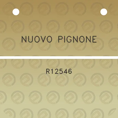 nuovo-pignone-r12546