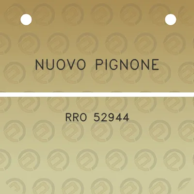 nuovo-pignone-rro-52944