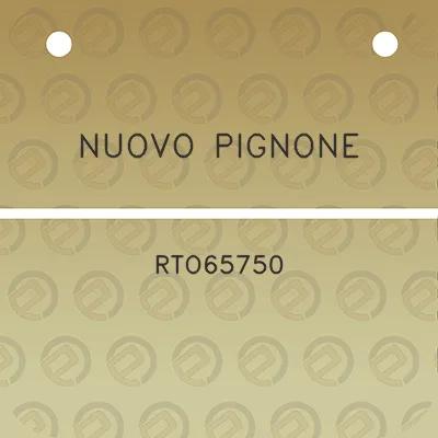 nuovo-pignone-rto65750