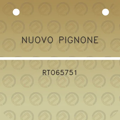 nuovo-pignone-rto65751