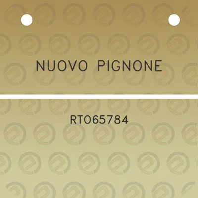 nuovo-pignone-rto65784