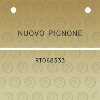 nuovo-pignone-rto68333