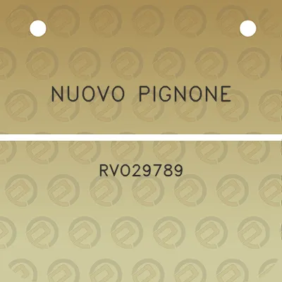 nuovo-pignone-rvo29789