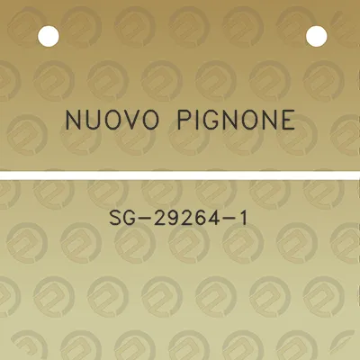 nuovo-pignone-sg-29264-1