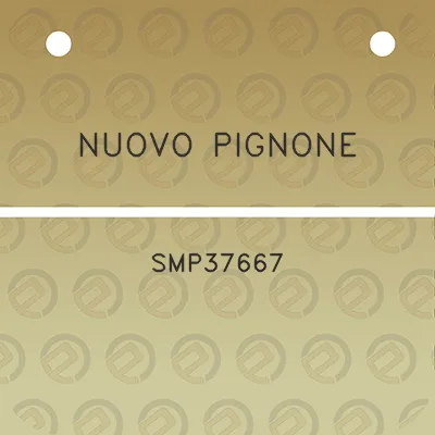 nuovo-pignone-smp37667