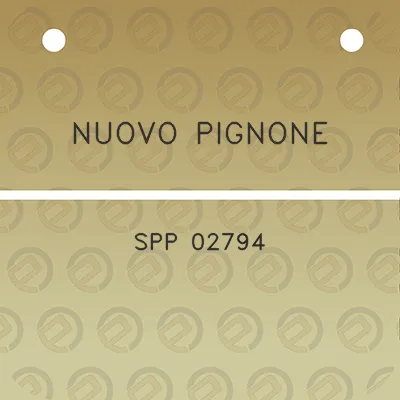 nuovo-pignone-spp-02794