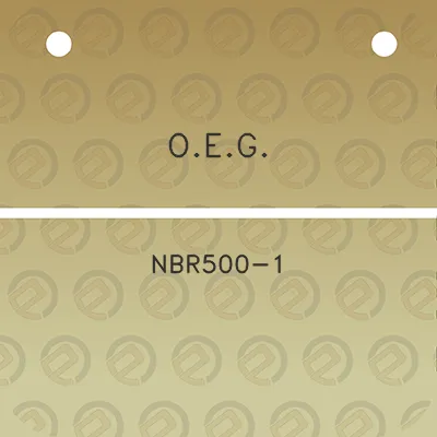 oeg-nbr500-1