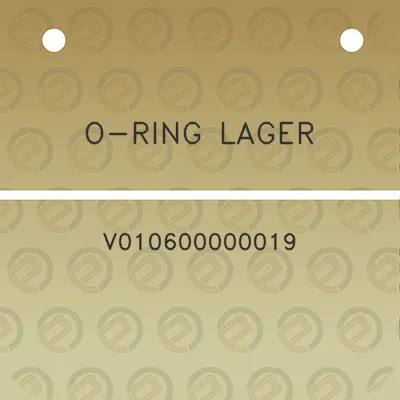 o-ring-lager-v010600000019