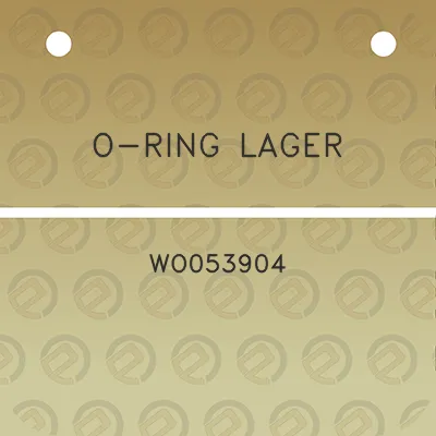 o-ring-lager-wo053904