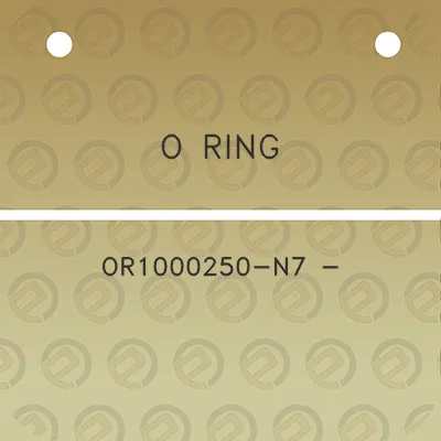 o-ring-or1000250-n7