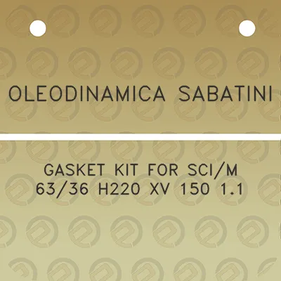 oleodinamica-sabatini-gasket-kit-for-scim-6336-h220-xv-150-11