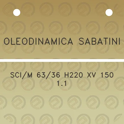 oleodinamica-sabatini-scim-6336-h220-xv-150-11