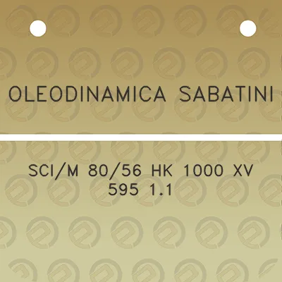 oleodinamica-sabatini-scim-8056-hk-1000-xv-595-11