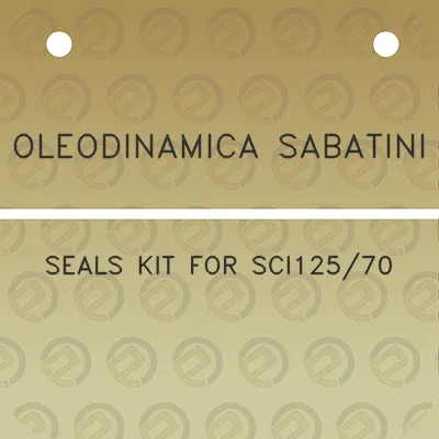 oleodinamica-sabatini-seals-kit-for-sci12570