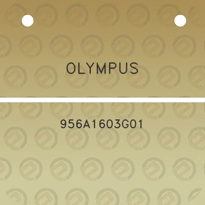 olympus-956a1603g01