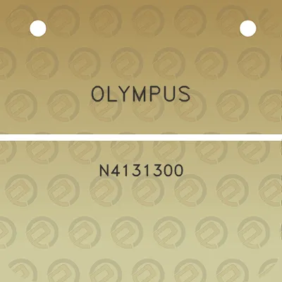 olympus-n4131300