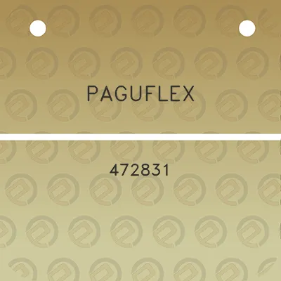 paguflex-472831