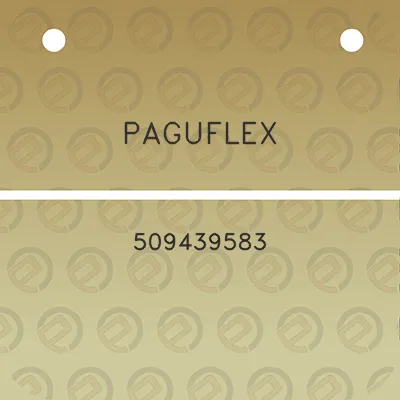 paguflex-509439583