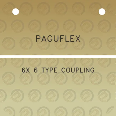 paguflex-6x-6-type-coupling