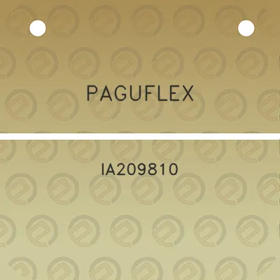 paguflex-ia209810