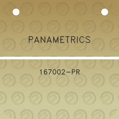 panametrics-167002-pr