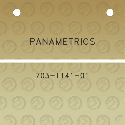 panametrics-703-1141-01