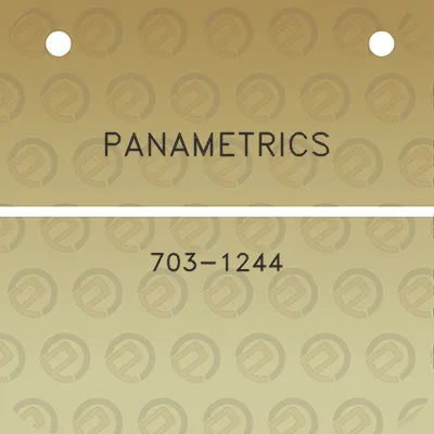 panametrics-703-1244