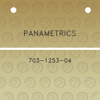 panametrics-703-1253-04