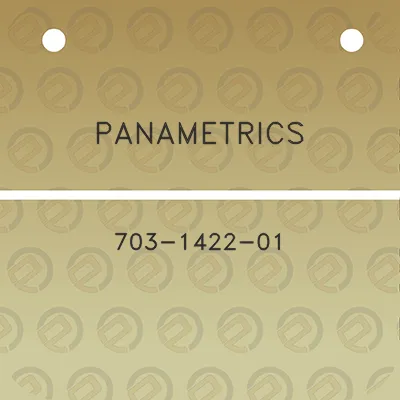 panametrics-703-1422-01