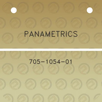 panametrics-705-1054-01